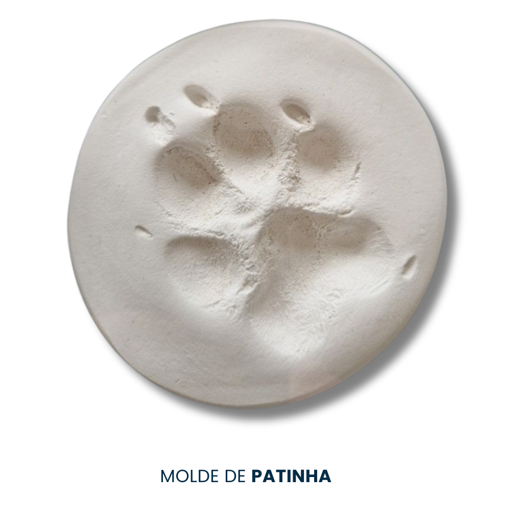 Molde da Patinha
