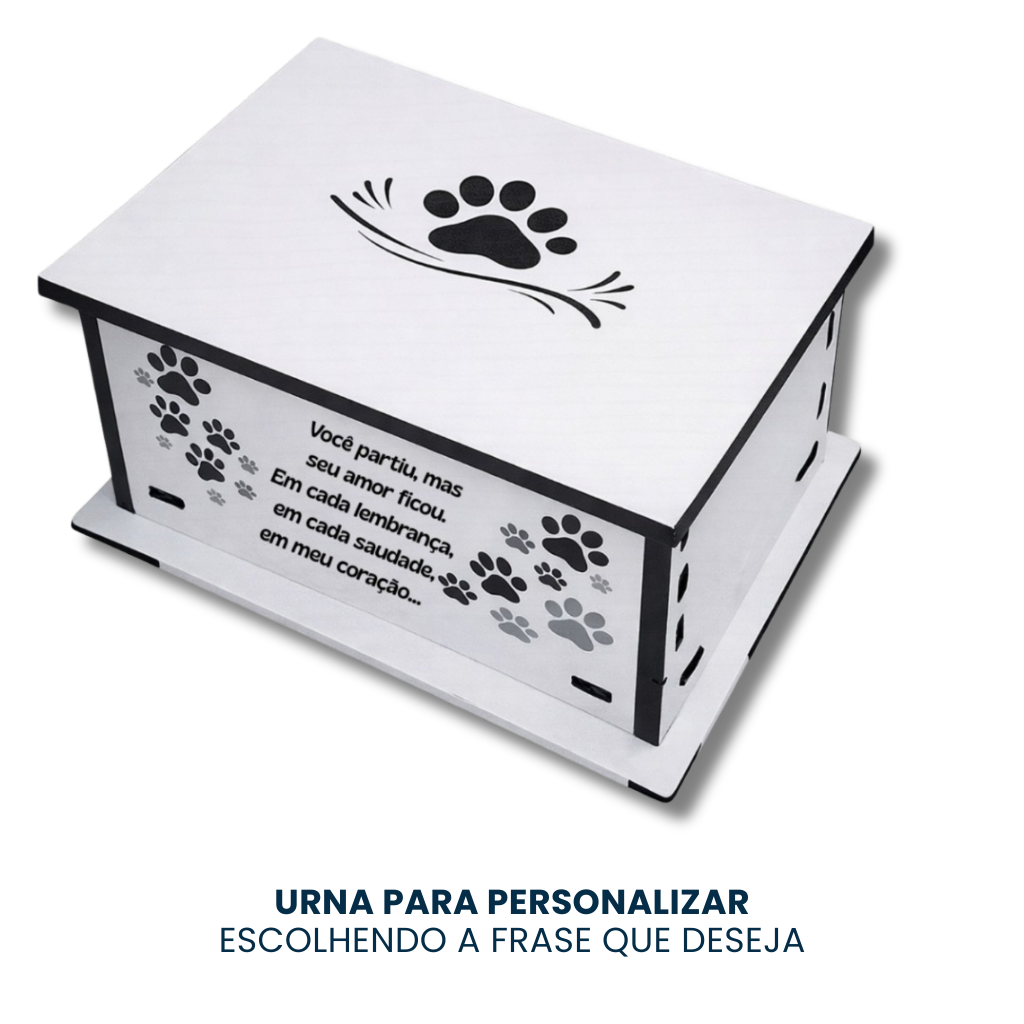 Urna Especial